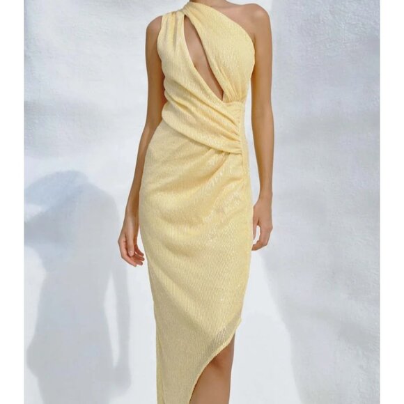 Baobab Dresses & Skirts - Noe Midi Dress- Baobab